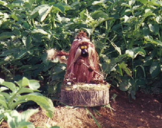Garden Troll spotted in Poor Farmer's potato patch
